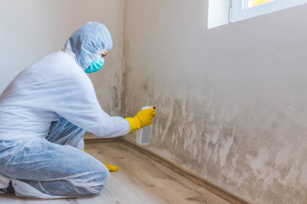 Licensed Commercial Mold Remediation service in Hastings, MI - WQB Mold Removal