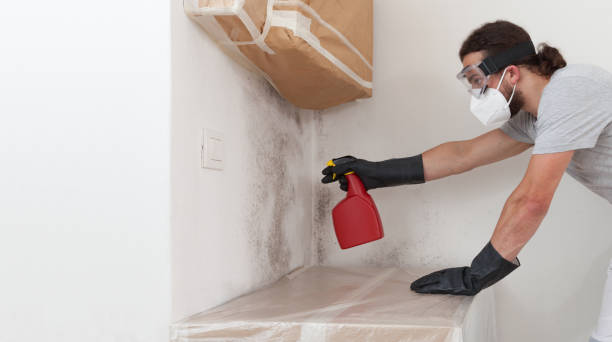 Professional Commercial Mold Remediation technician working in Hastings, MI