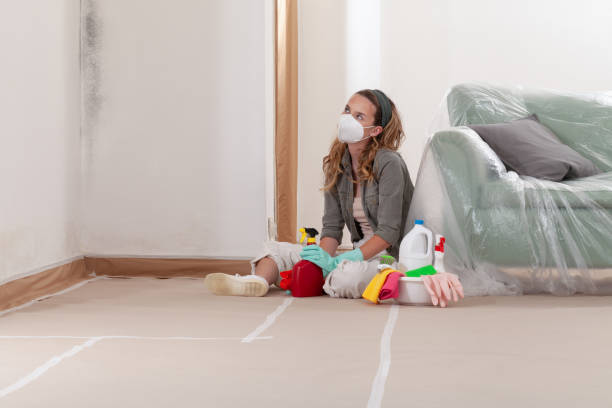 Reliable Commercial Mold Remediation contractor in Hastings, MI by WQB Mold Removal