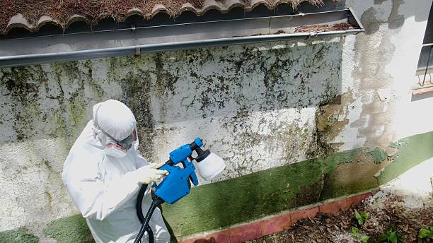 Top rated local Commercial Mold Remediation specialists in Hastings, MI